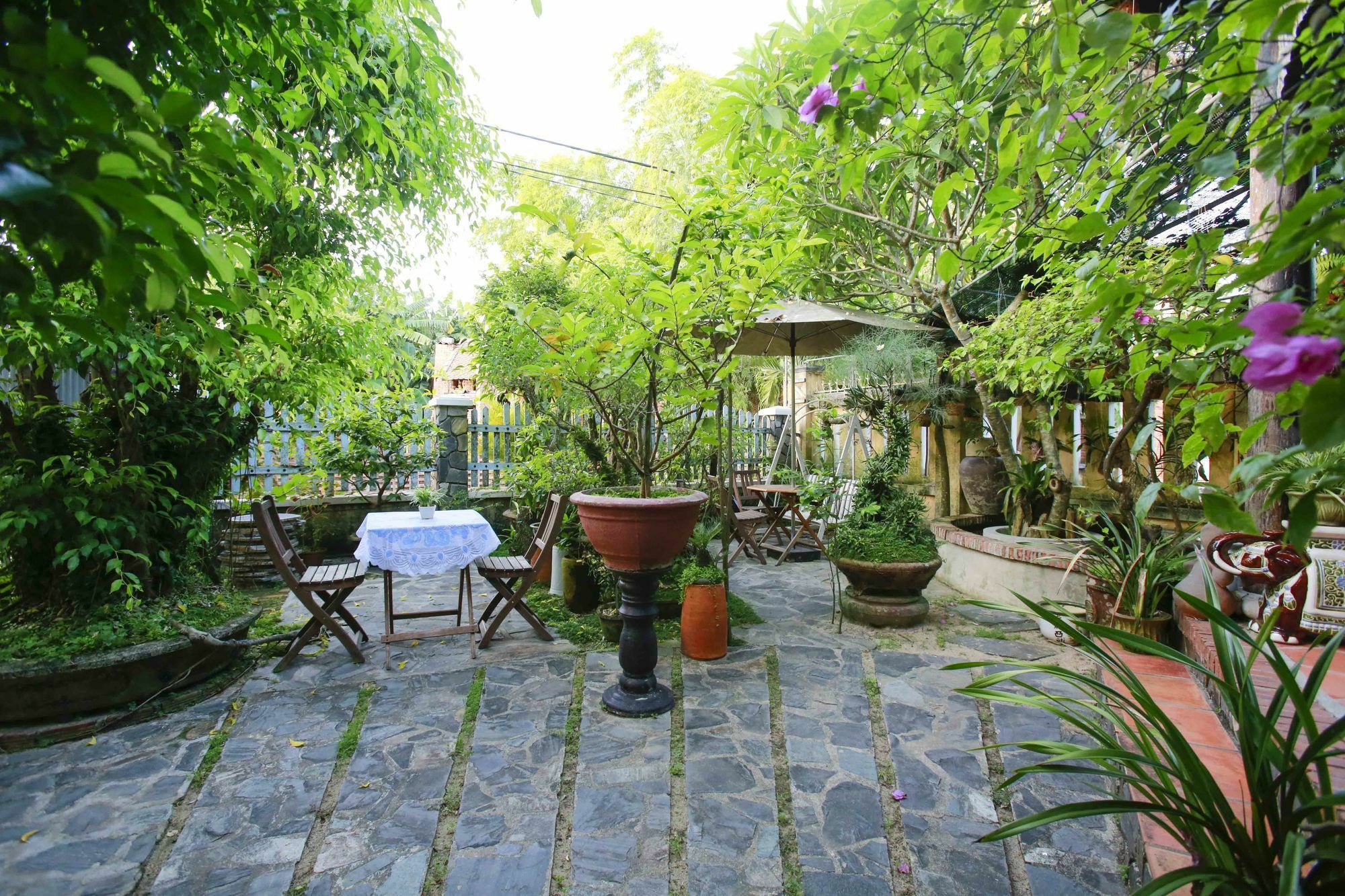 Terra Cotta Homestay هوي ان المظهر الخارجي الصورة